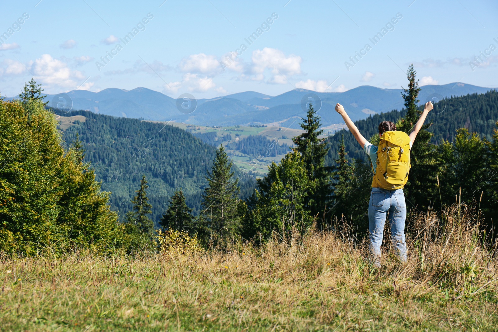 Photo of Tourist with backpack in mountains on sunny day, back view