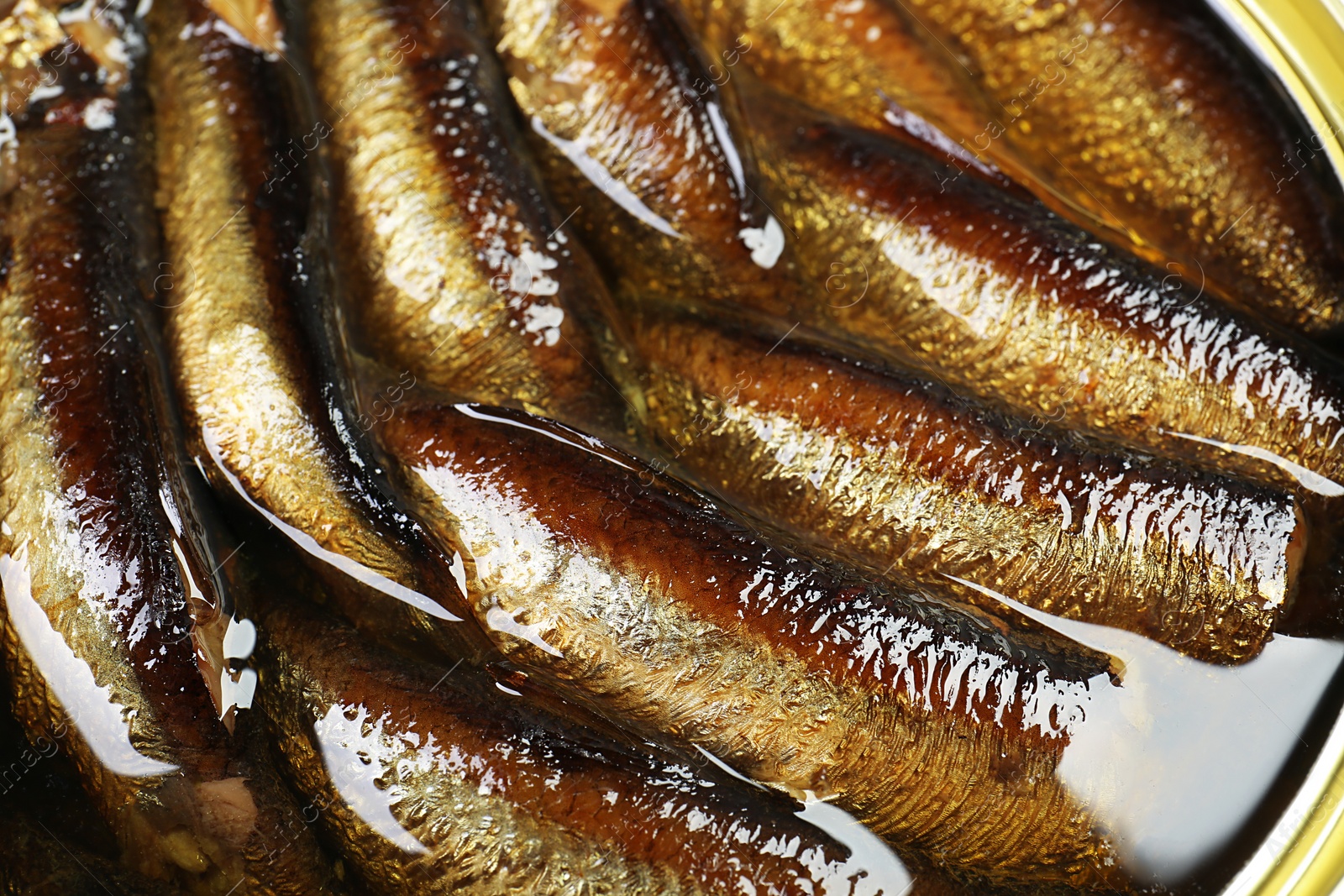 Photo of Many sprats in tin can, closeup view