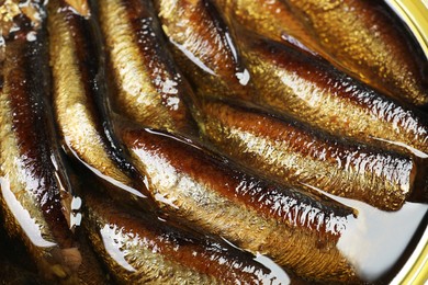 Many sprats in tin can, closeup view