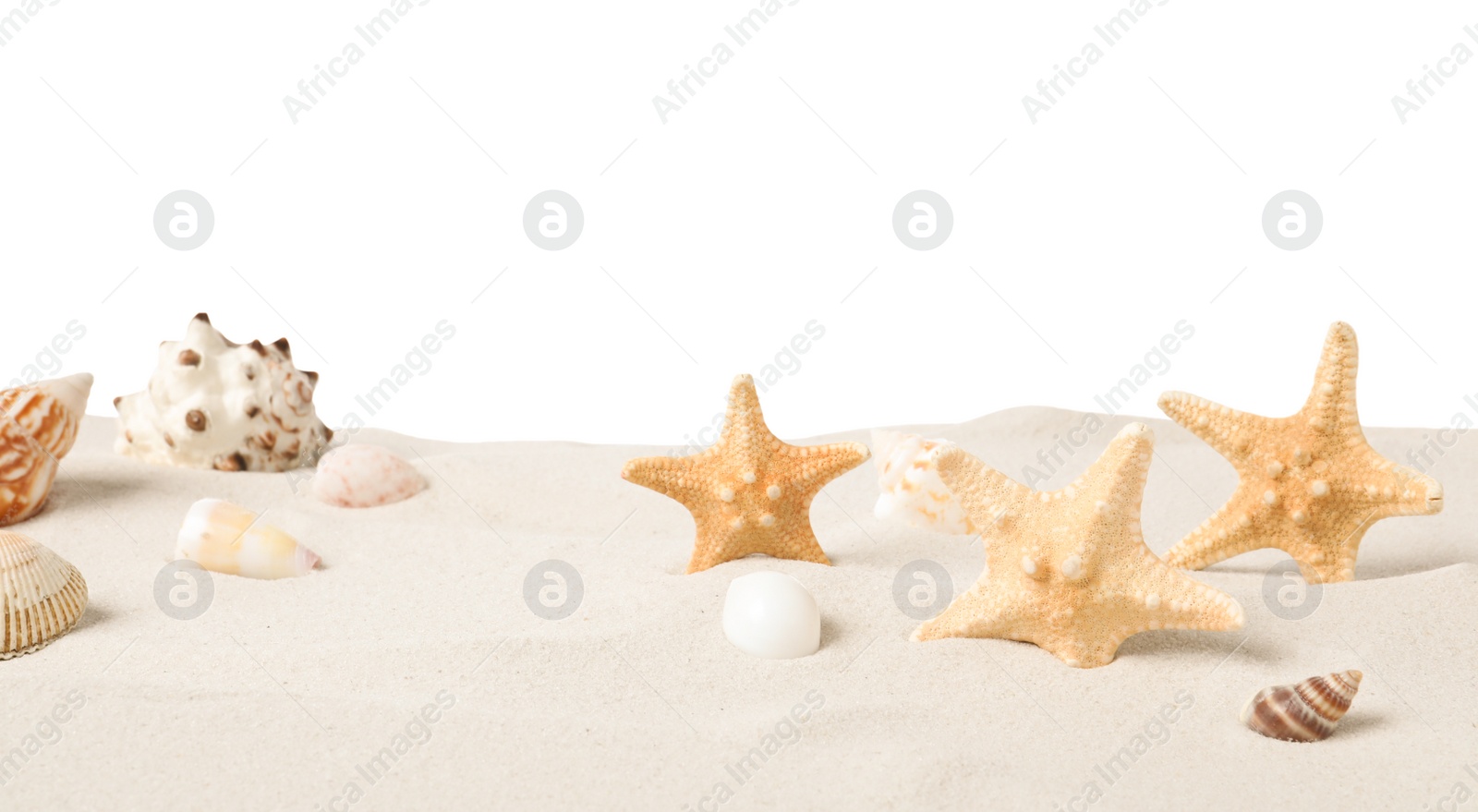 Photo of Beautiful sea stars and seashells in sand on white background