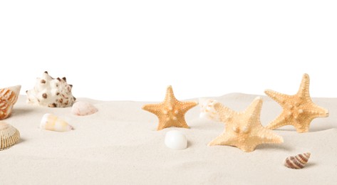 Photo of Beautiful sea stars and seashells in sand on white background