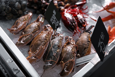Fresh swimming crabs and other seafood on ice in supermarket