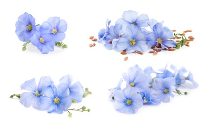 Image of Set with flax seeds and flowers on white background