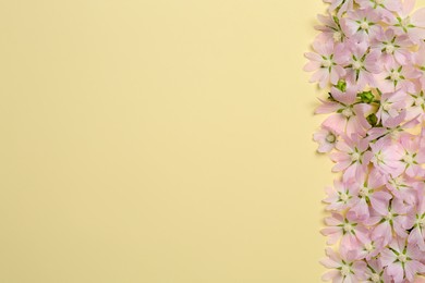 Photo of Flat lay composition with beautiful musk mallow flowers on beige background, space for text