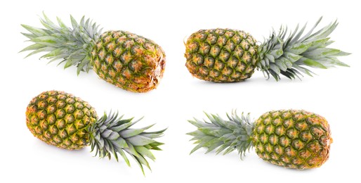 Image of Set with whole pineapples isolated on white