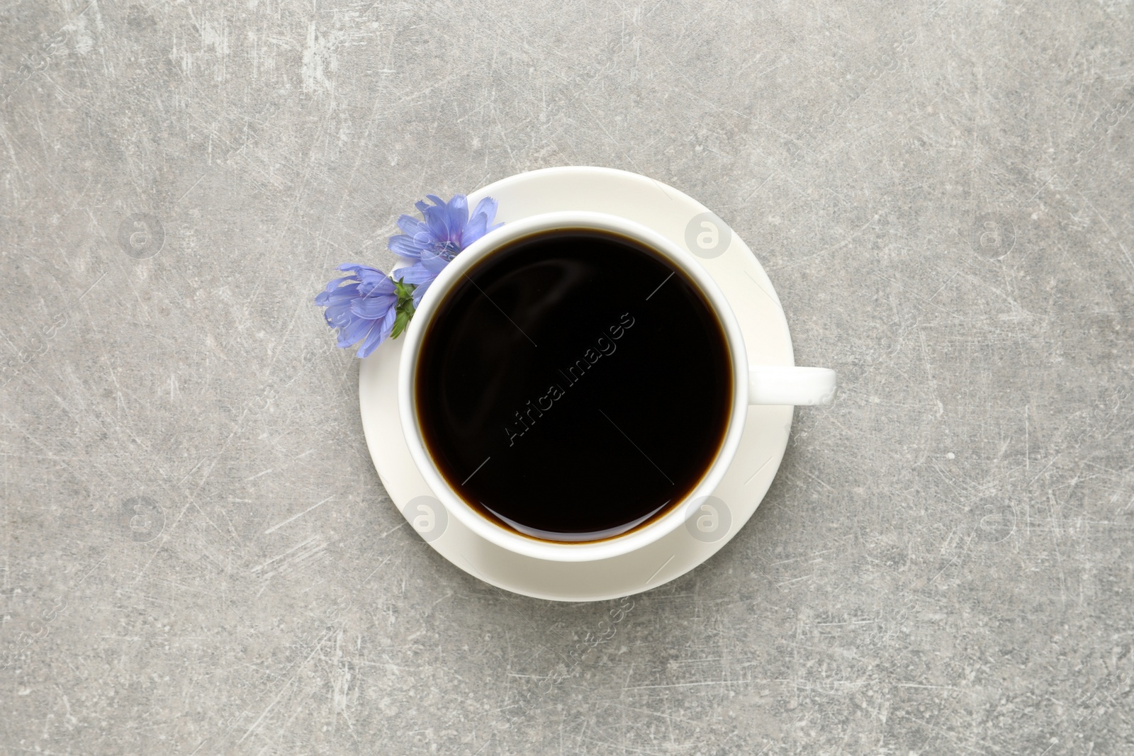 Photo of Cup of delicious chicory drink and flowers on light grey table, top view