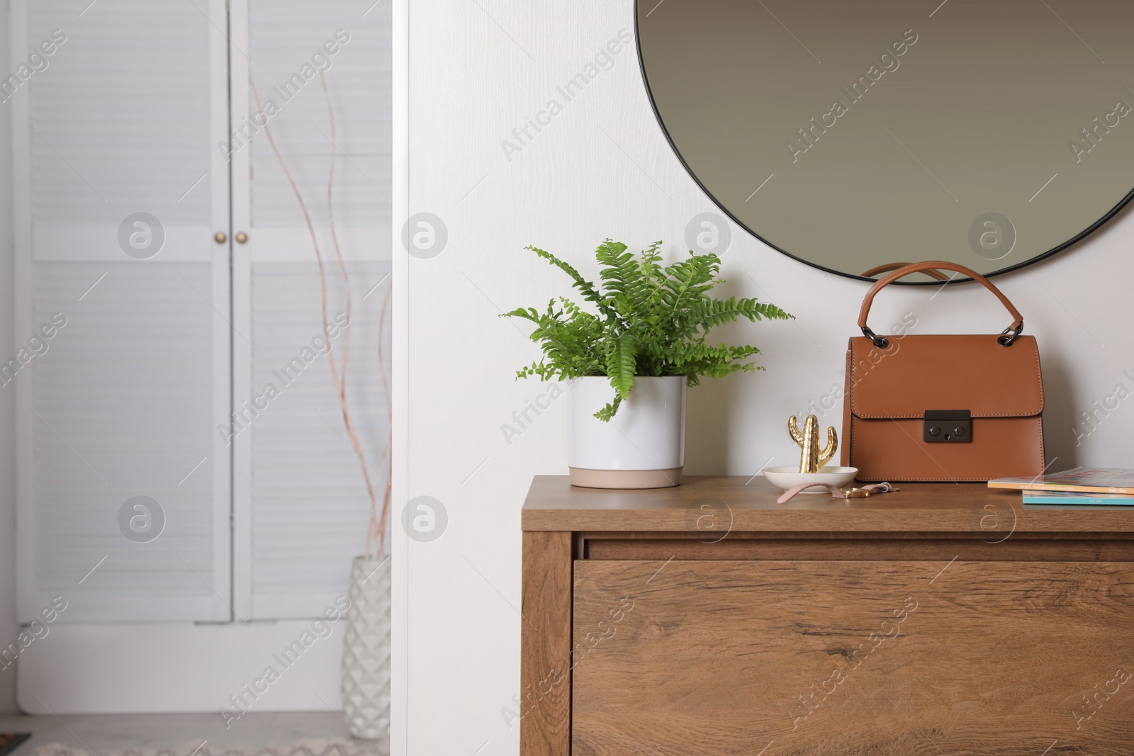 Photo of Beautiful potted fern and accessories on wooden cabinet in hallway. Space for text