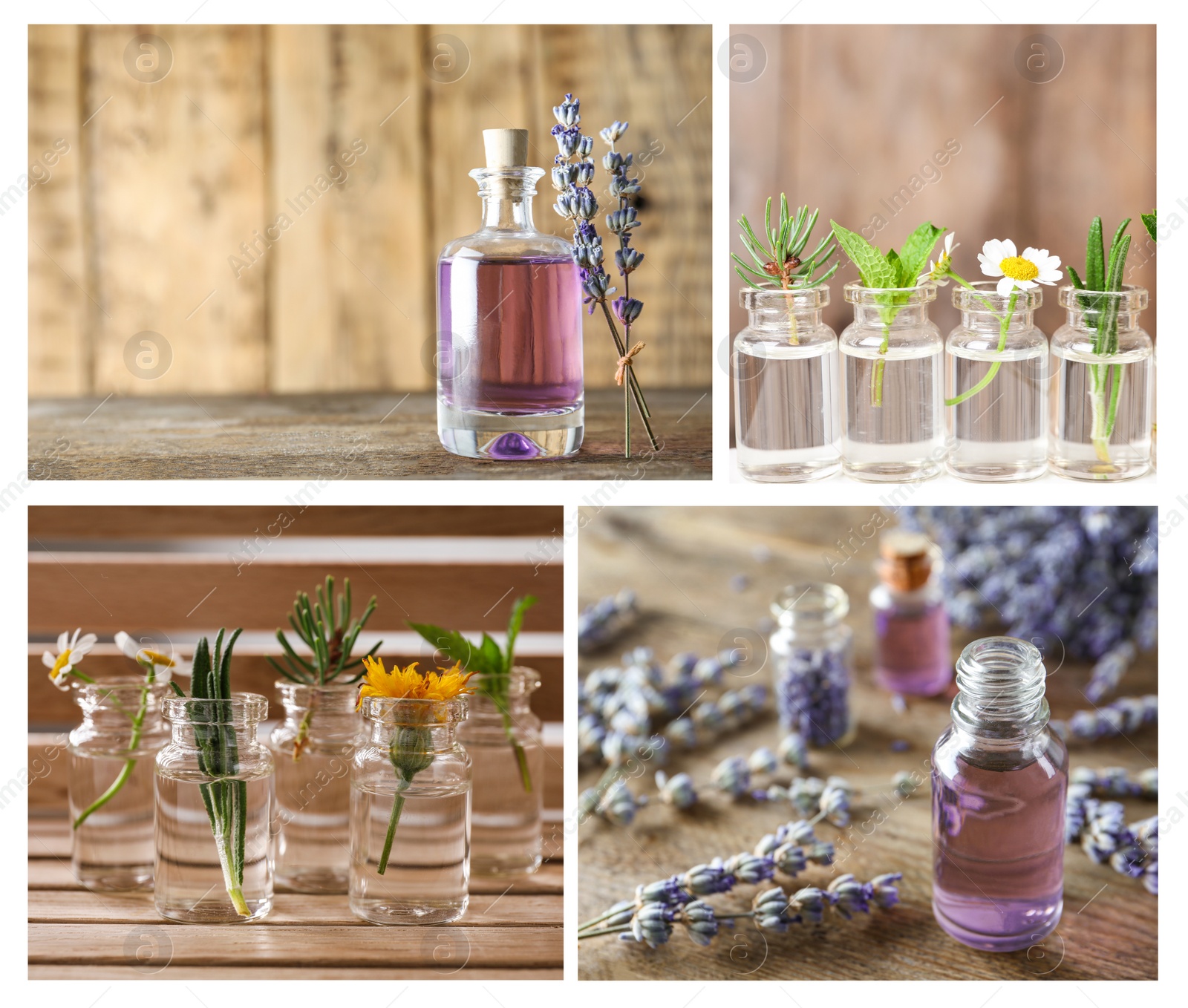 Image of Collage of different photos with essential oils and plants