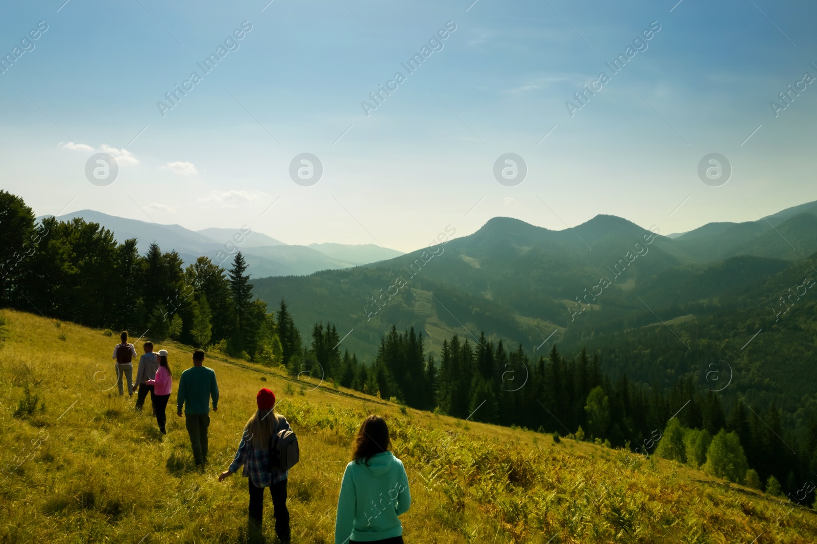 Image of Group of tourists walking on hill in mountains, back view. Drone photography