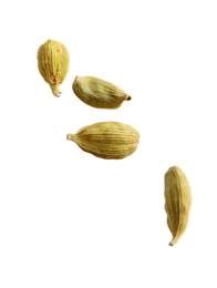 Photo of Dry cardamon seeds on white background. Mulled wine ingredient