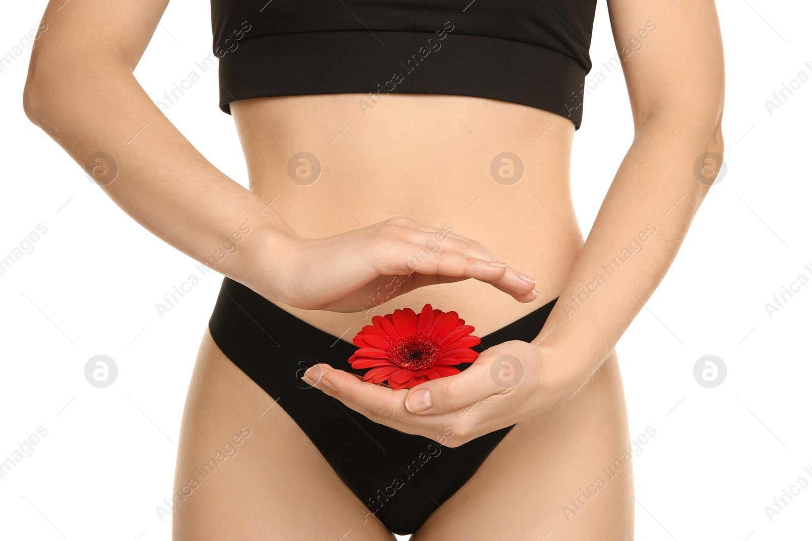 Photo of Gynecology. Woman in underwear with gerbera flower on white background, closeup