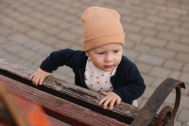 Photo of Portrait of little baby near bench in park