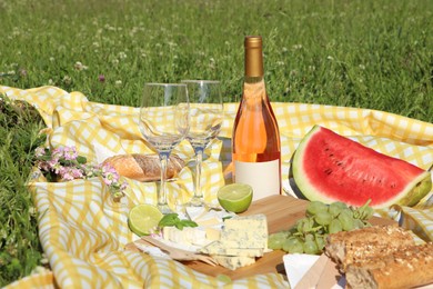 Picnic blanket with delicious food and wine on green grass outdoors