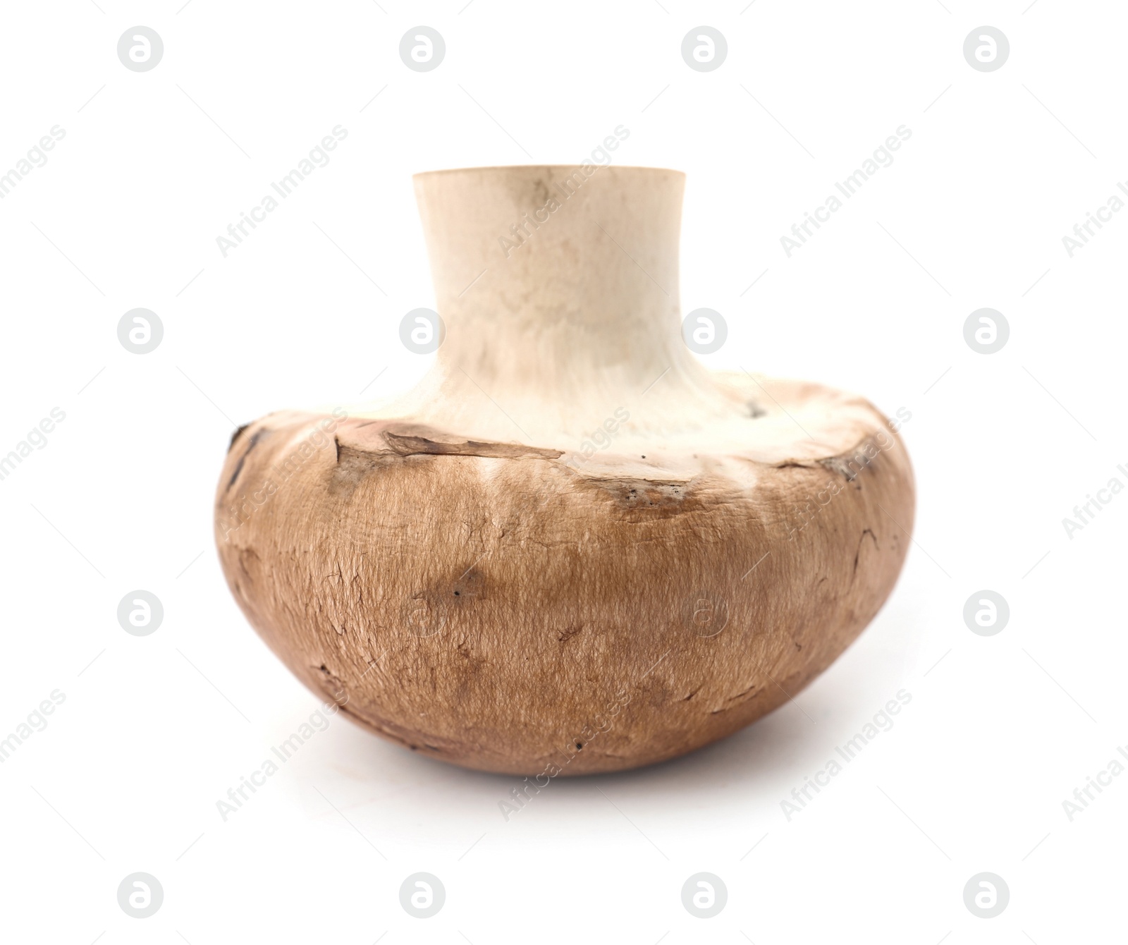 Photo of Fresh raw champignon mushroom on white background