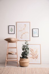Photo of Stylish room interior with decorative wooden ladder, beautiful paintings and potted eucalyptus plant near light wall