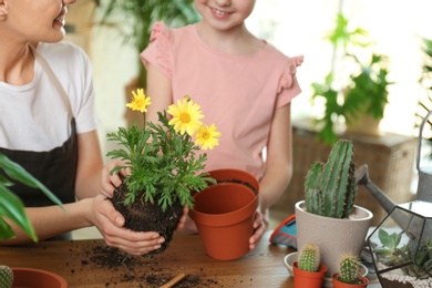 Mother and daughter transplanting plant at home, closeup