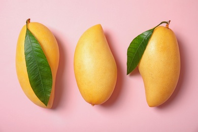 Flat lay composition with mango fruits on color background