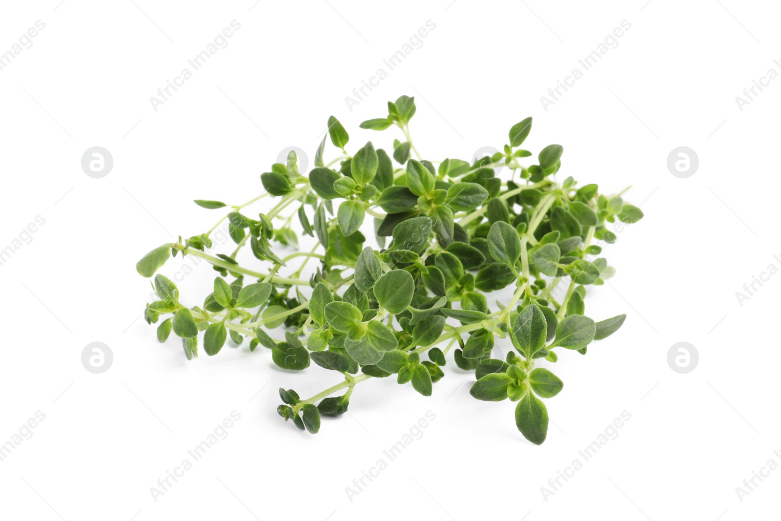 Photo of Aromatic fresh marjoram leaves on white background