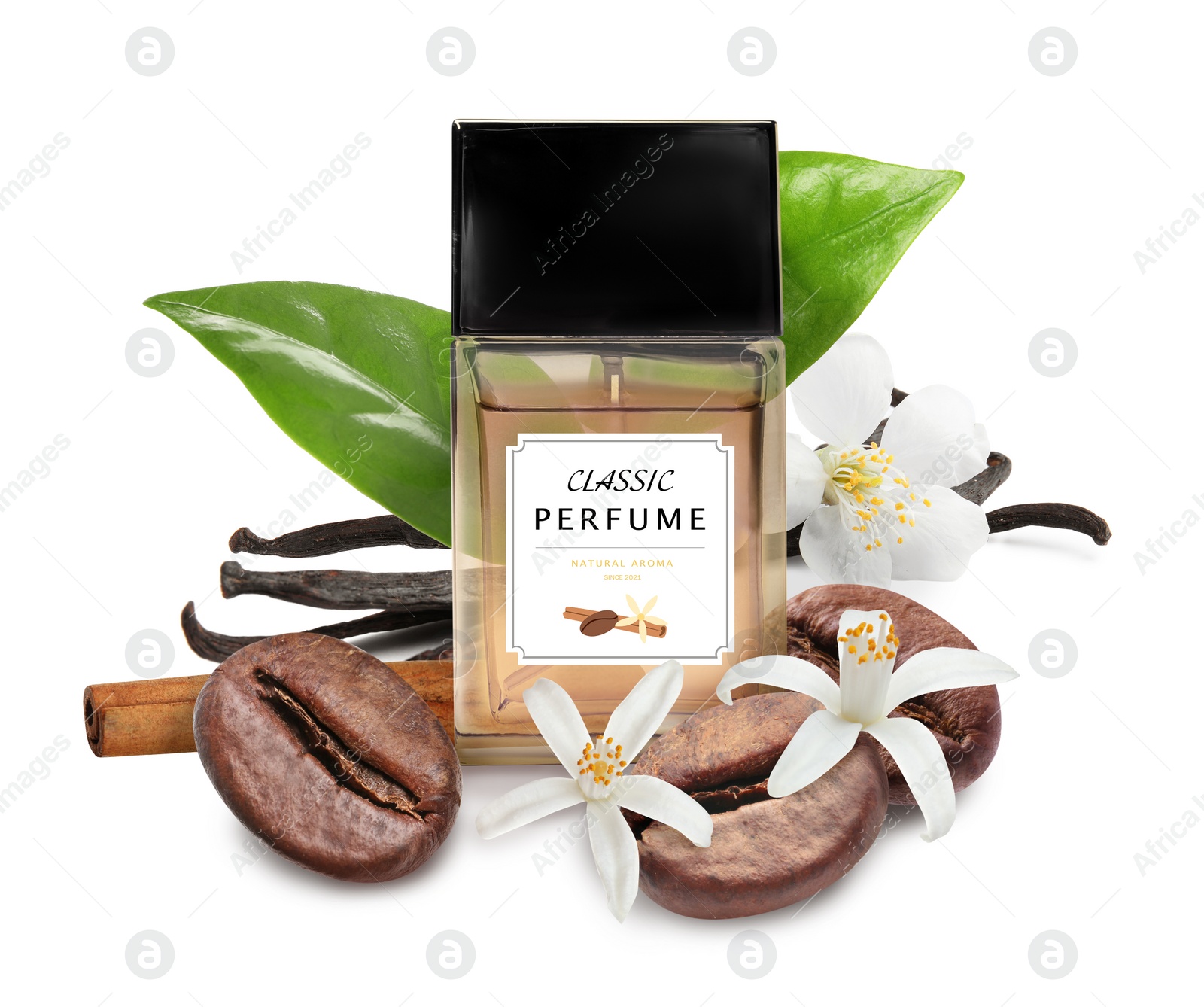 Image of Bottle of perfume and different spices on white background