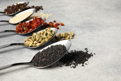 Photo of Metal spoons with different spices on light grey table, closeup. Space for text