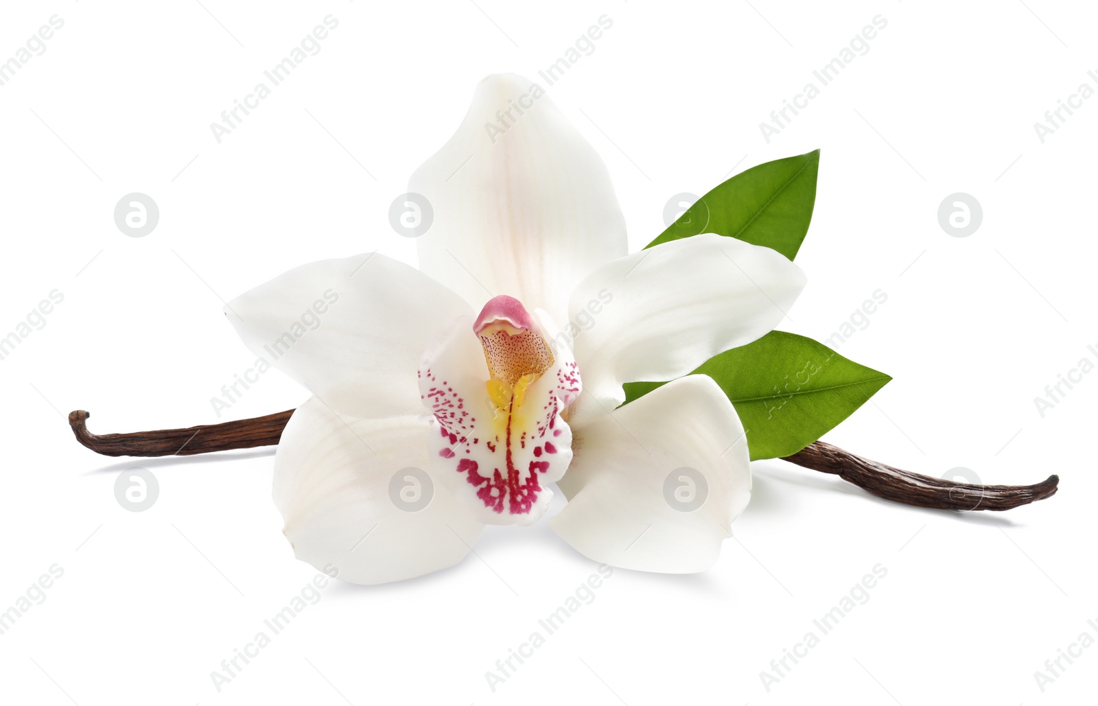 Photo of Aromatic vanilla sticks, beautiful orchid flower and green leaves on white background