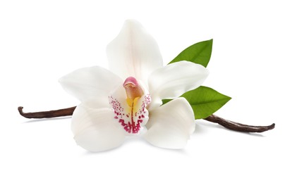 Photo of Aromatic vanilla sticks, beautiful orchid flower and green leaves on white background