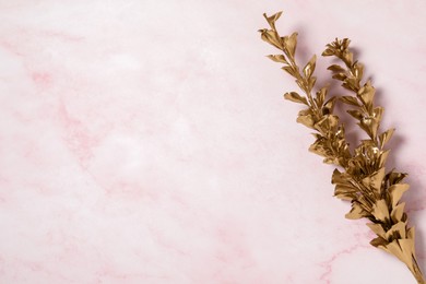 Photo of Golden dried flower on pink marble table, top view. Space for text