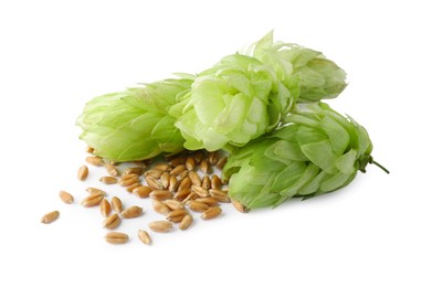 Photo of Fresh green hops and wheat grains on white background