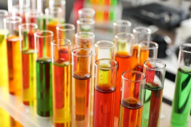 Photo of Test tubes with samples in chemistry laboratory, closeup