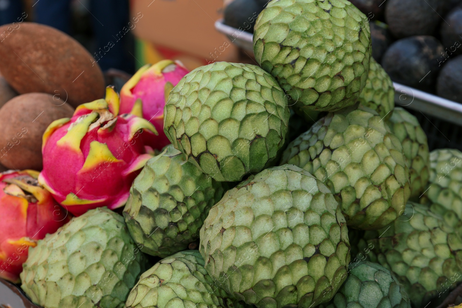 Photo of Cherimoya and dragon fruit at market, closeup