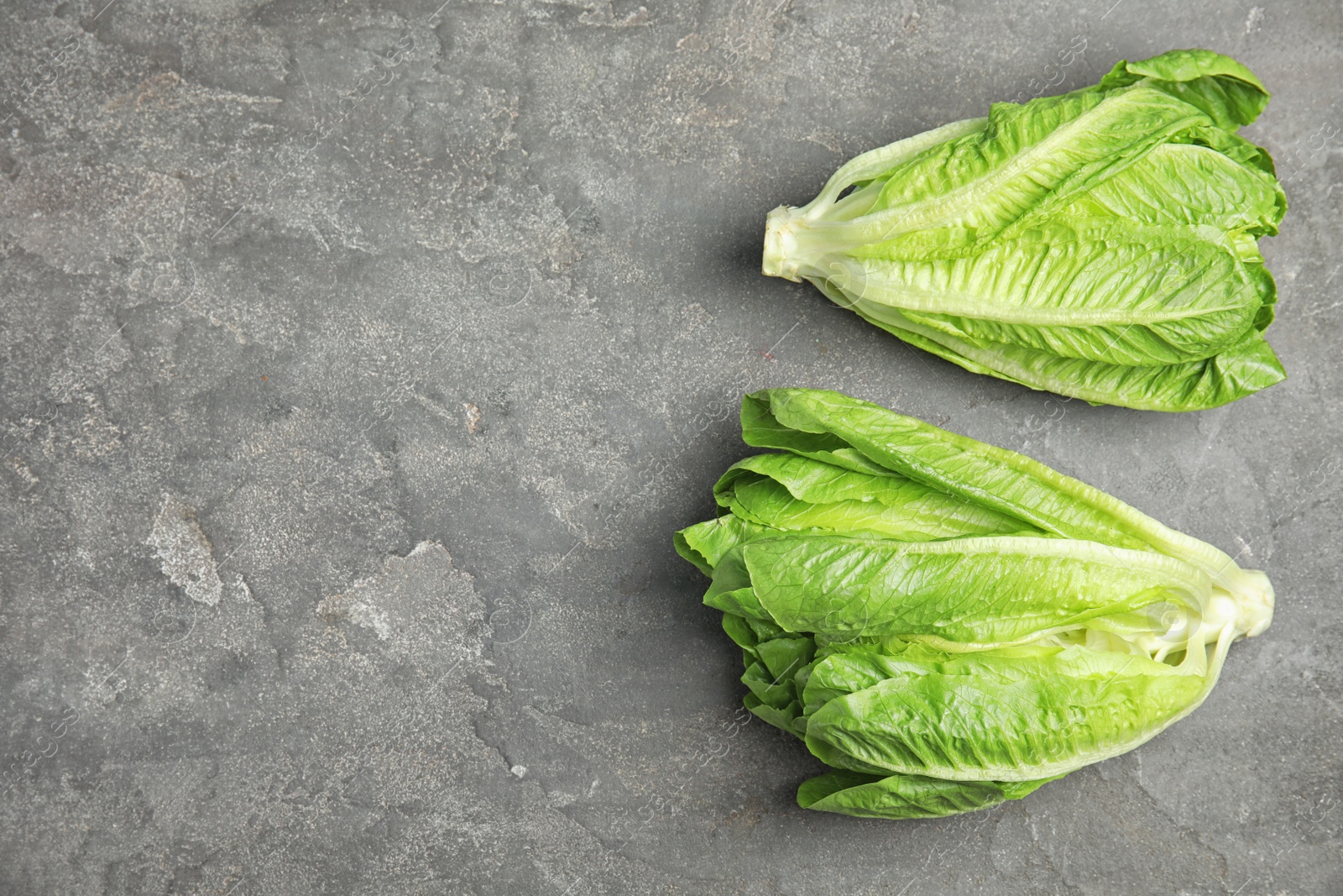 Photo of Fresh ripe cos lettuce on gray background, top view