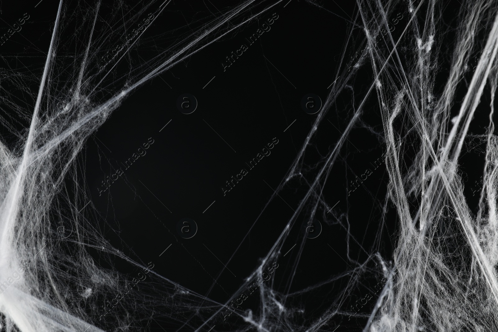 Photo of Creepy white cobweb on black background, closeup