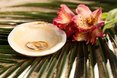 Photo of Shell with gold wedding rings and beautiful flowers on sandy beach, closeup