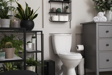Photo of Stylish bathroom interior with toilet bowl and many beautiful houseplants