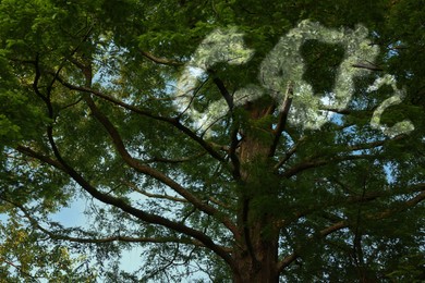 Image of Concept of clear air. CO2 inscription and beautiful green tree
