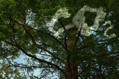 Concept of clear air. CO2 inscription and beautiful green tree