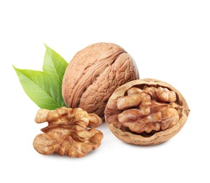 Tasty walnuts and green leaves on white background