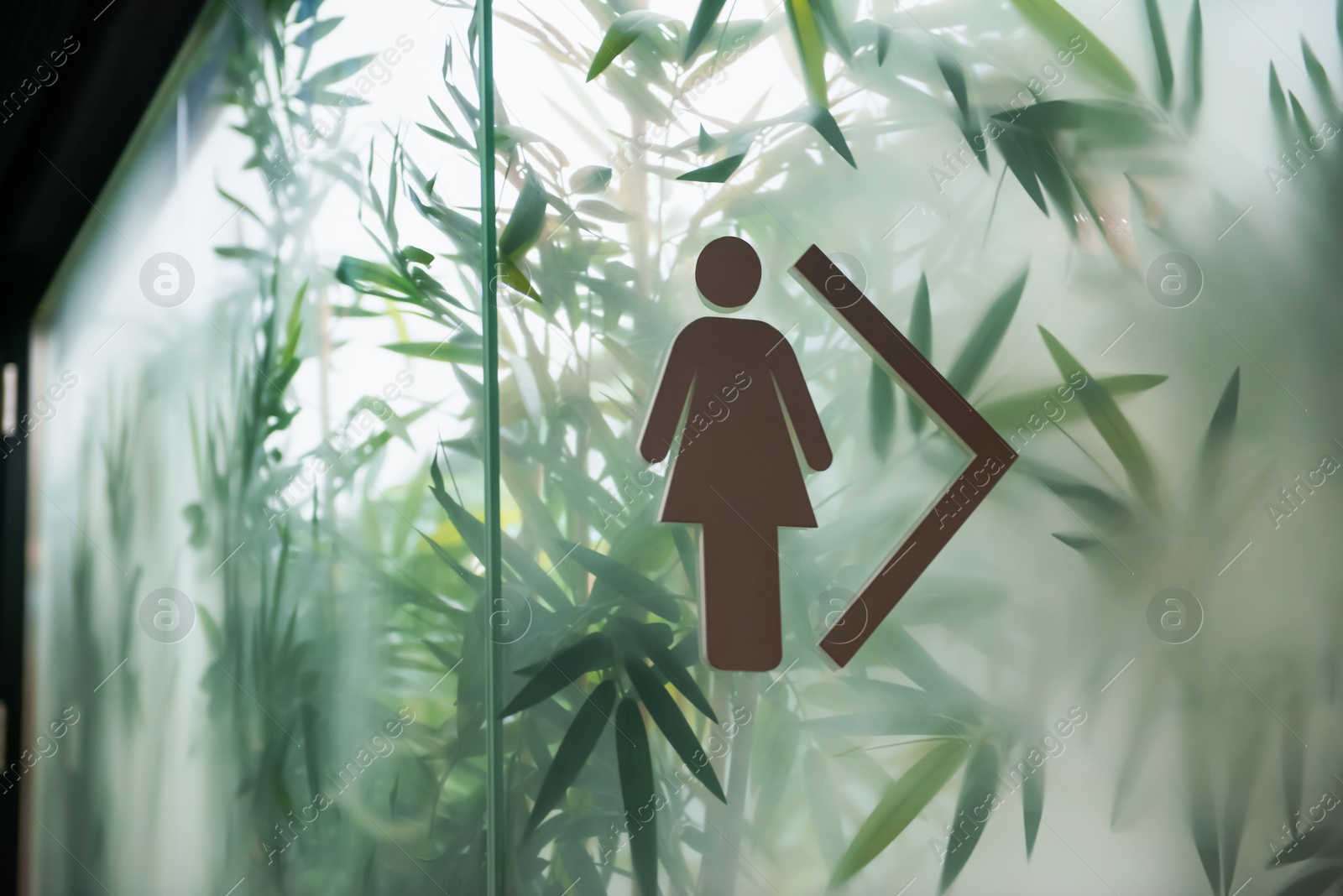 Image of Women's public toilet sign with arrow showing direction on glass wall