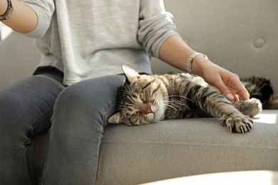 Photo of Woman with cute cat sitting on sofa, closeup