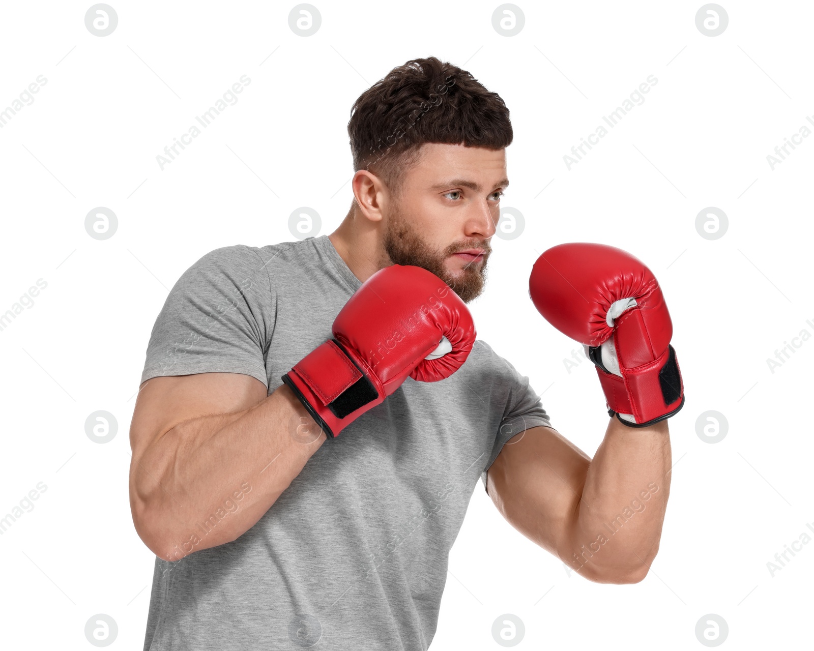 Photo of Man in boxing gloves on white background