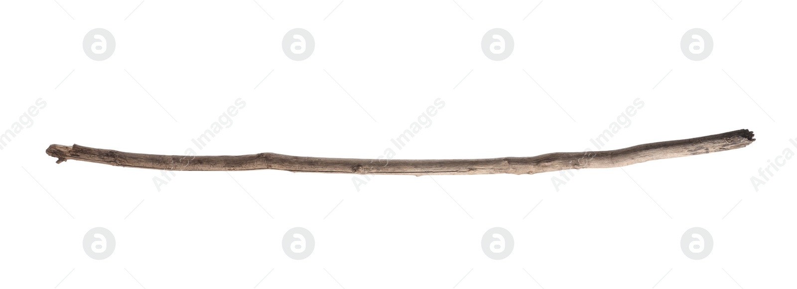 Photo of One old wooden stick isolated on white