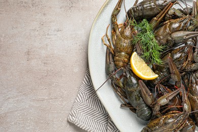 Photo of Fresh raw crayfishes with lemon and dill on light grey table, top view. Space for text