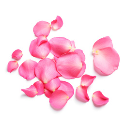 Photo of Fresh pink rose petals on white background, top view