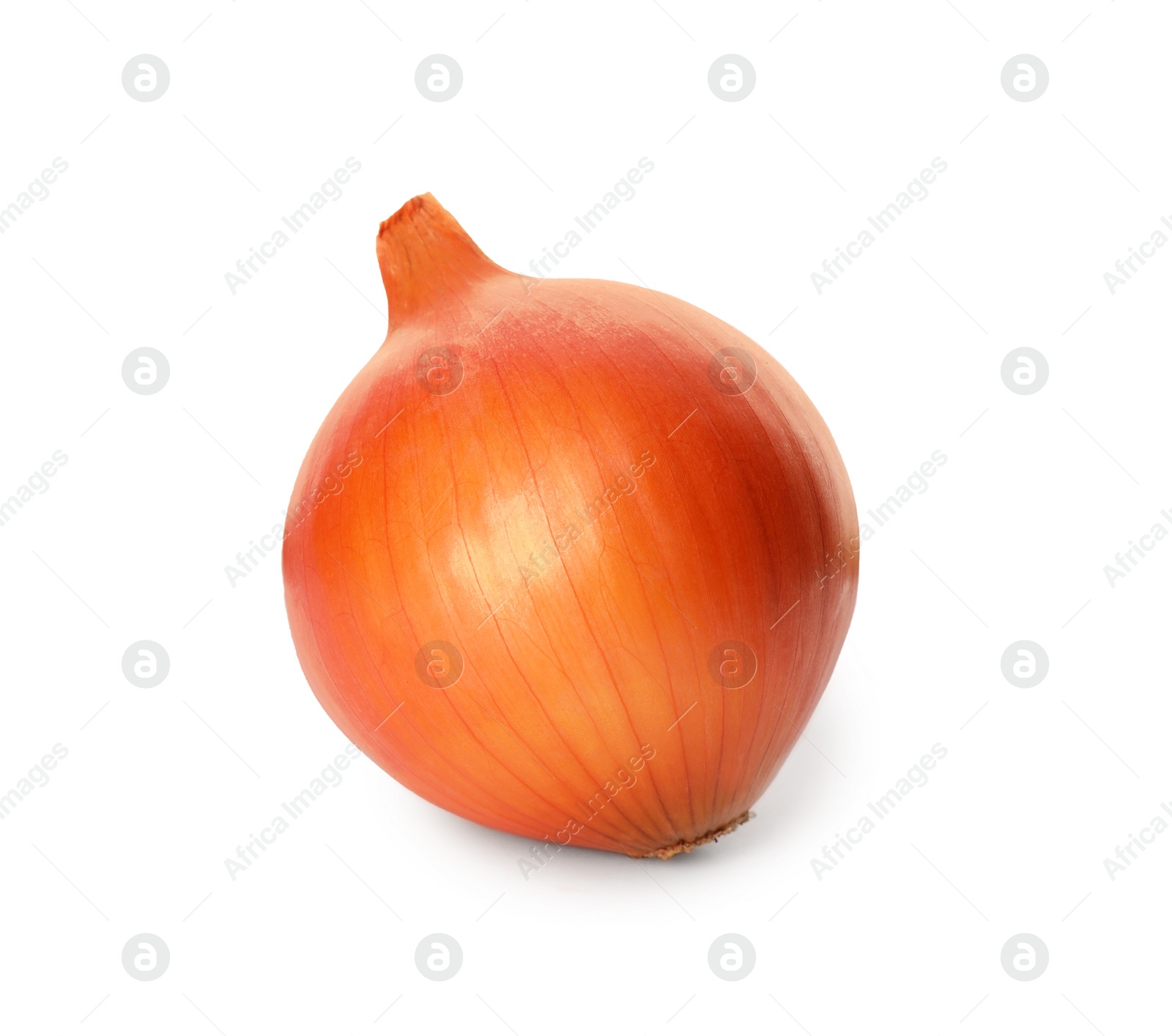 Photo of One fresh unpeeled onion isolated on white