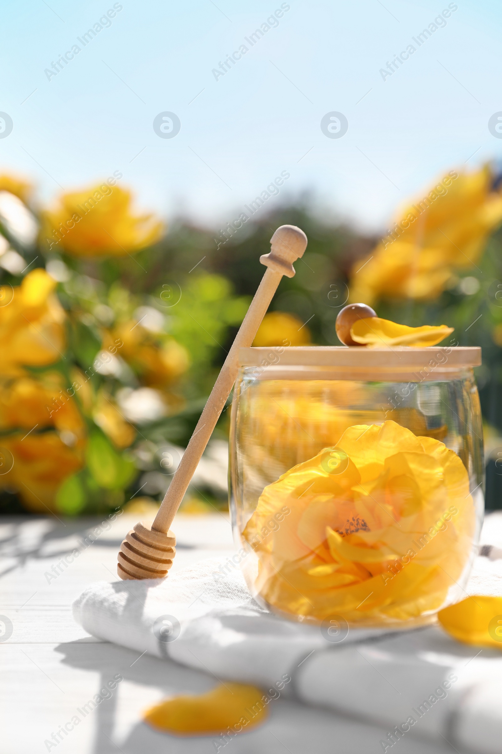 Photo of Glass jar with yellow rose and honey dipper on white wooden table in blooming garden