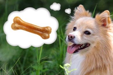 Image of Cute dog dreaming about tasty treat in green grass. Thought cloud with chew bone