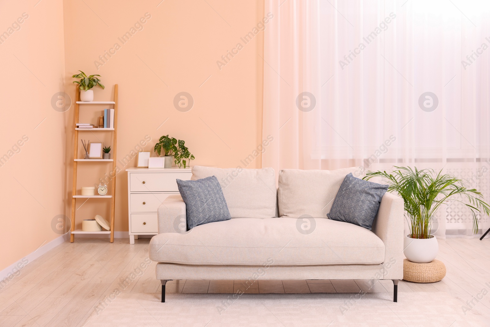 Photo of Comfortable sofa and potted plants at home. Interior design