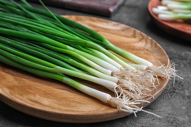 Photo of Plate with fresh green onion on table, closeup