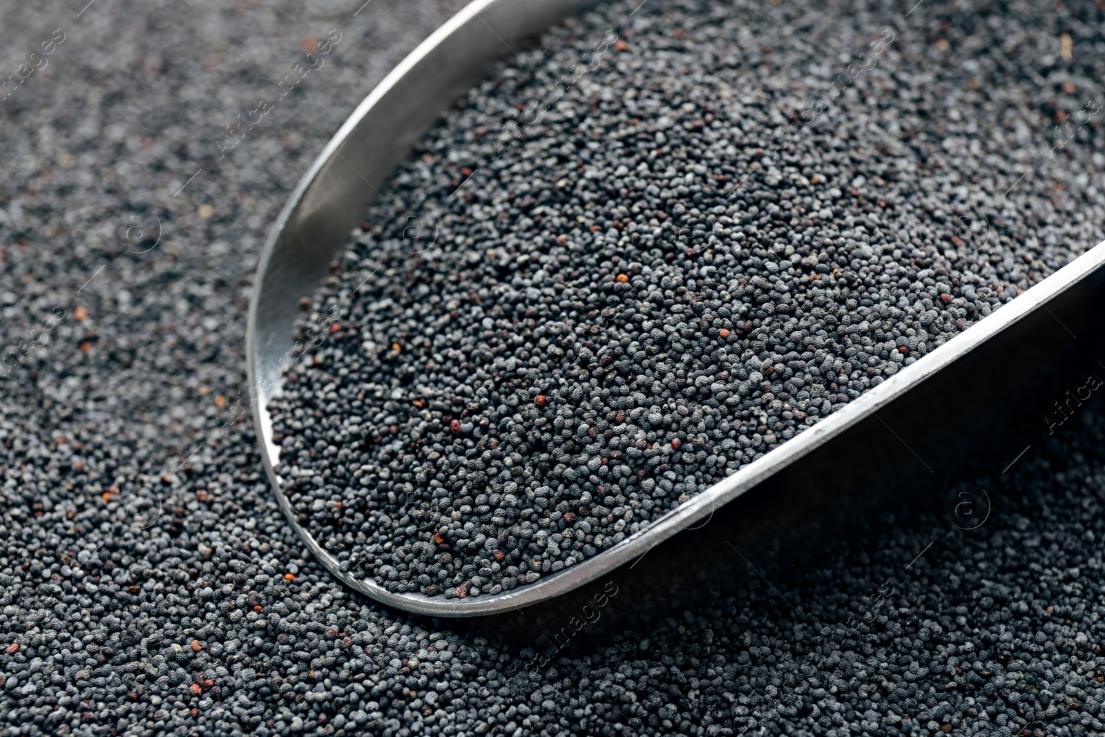 Photo of Poppy seeds and metal scoop, closeup view