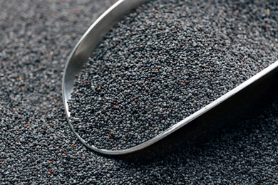 Poppy seeds and metal scoop, closeup view